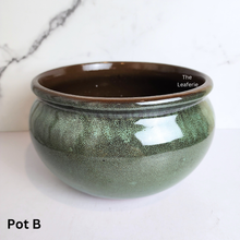 Load image into Gallery viewer, The Leaferie Acacia big pot without drainage holes. ceramic material suitable for fish