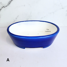 Load image into Gallery viewer, The Leaferie Bonsai Tally series 10 oval bonsai pot. blue and green colour . ceramic material
