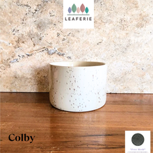 Load image into Gallery viewer, Colby Shallow flowerpot