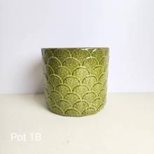 Load image into Gallery viewer, As-Is Pots Batch October 2023 (13 items)