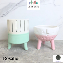 Load image into Gallery viewer, Rosalie Flowerpot