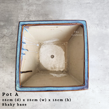 Load image into Gallery viewer, The Leaferie Asi-is Pots Nov and dec 24. 9 items.