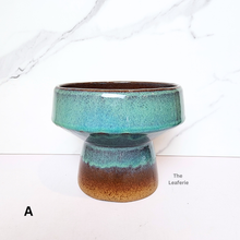 Load image into Gallery viewer, The Leaferie Luna Flowerpot . 3 colours ceramic material