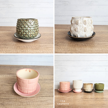 Load image into Gallery viewer, The Leaferie Rainbow ceramic tray . suitable for small petit pots. 2 sizes