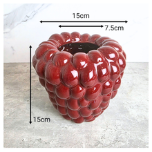 Load image into Gallery viewer, The Leaferie Riora red grape flowerpot