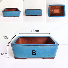 Load image into Gallery viewer, The Leaferie bonsai series 58 blue range 6 designs
