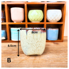 Load image into Gallery viewer, Petit Flowerpots (Series 6)