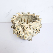 Load image into Gallery viewer, The Leaferie Handmade Moti Flowerpot. ceramic material