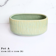 Load image into Gallery viewer, The Leaferie AS-IS october 24. 8 items