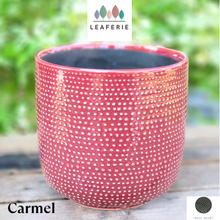 Load image into Gallery viewer, Carmel Flowerpot