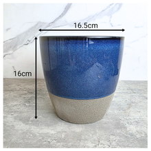 Load image into Gallery viewer, Ryder Blue and beige ceramic planter with 'Leaferie' branding on a marble background