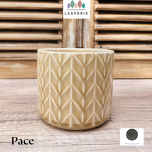 Load image into Gallery viewer, Pace Flowerpot
