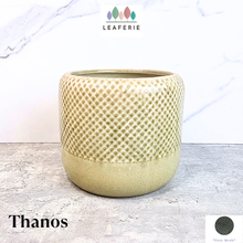 Load image into Gallery viewer, Thanos Flowerpot