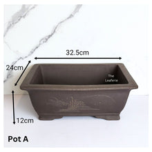 Load image into Gallery viewer, Bonsai Rectangular (Series 2)