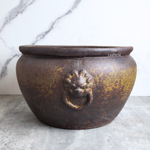 Load image into Gallery viewer, The Leaferie Lorelei no drainage hole suitable for fish bowl.