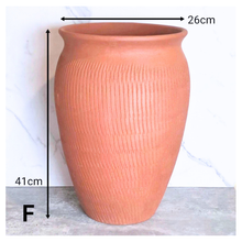 Load image into Gallery viewer, Elrias Terracotta Flowerpot (6 designs)