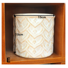 Load image into Gallery viewer, Petit Flowerpots (Series 3)