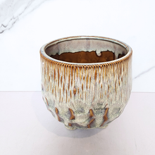 Load image into Gallery viewer, The Leaferie Clayton Beige ceramic pot with legs