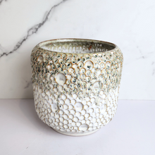 Load image into Gallery viewer, The Leaferie Gallagher crater pot.