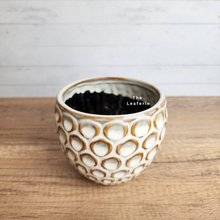 Load image into Gallery viewer, The Leaferie Sen Flowerpot . 2 sizes beige ceramic pot.