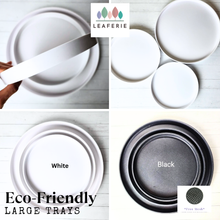 Load image into Gallery viewer, Large trays Eco-Friendly