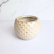 Load image into Gallery viewer, The Leaferie Cedro beige ceramic pot. small planter