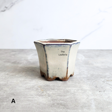 Load image into Gallery viewer, The Leaferie Petit Bonsai pots 76.. Hexagon shape a=with 4 colours.