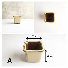 Load image into Gallery viewer, Petit Bonsai Flowerpot (Series 3) Beige Theme