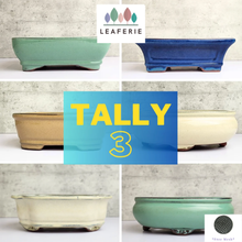 Load image into Gallery viewer, Bonsai Tally Flowerpot (Series 3)