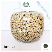 Load image into Gallery viewer, Brooke Flowerpot