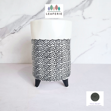 Load image into Gallery viewer, The Leaferie dottie black polka dot ceramic tall flowerpot.