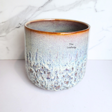 Load image into Gallery viewer, The Leaferie Toro Flowerpot . Ceramic Material