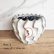 Load image into Gallery viewer, The Leaferie AS-IS Pots December 23..Pot 1