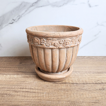 Load image into Gallery viewer, The Leaferie Philomel terracotta pot with tray.