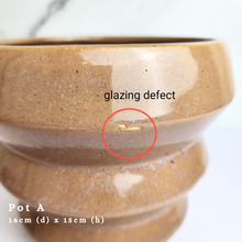 Load image into Gallery viewer, The Leaferie AS-Is May 2024. 12 pieces ceramic pots