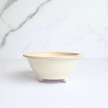 Load image into Gallery viewer, The Leaferie Petit bonsai series 46. 3 colours bonsai pots