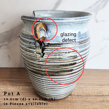 Load image into Gallery viewer, The Leaferie As-is Feb 24. Pot A