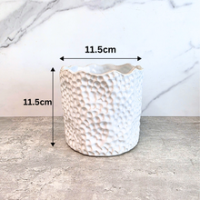 Load image into Gallery viewer, Zacharie Flowerpot