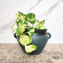 Load image into Gallery viewer, The Leaferie Phelan blue and black pot with ear. ceramic material