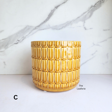 Load image into Gallery viewer, Kinsley Flowerpot