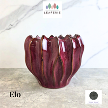 Load image into Gallery viewer, Elo Flowerpot