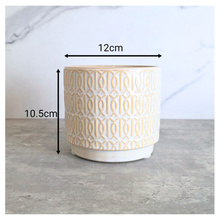 Load image into Gallery viewer, Toby white pot with gold patterns on a gray surface, featuring the Leaferie brand.