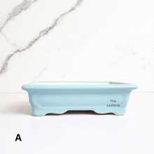 Load image into Gallery viewer, The Leaferie Bonsai Series 67. 3 colours rectangular ceramic pot.