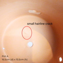 Load image into Gallery viewer, The Leaferie As-is March 25 . 9 items