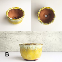 Load image into Gallery viewer, The Leaferie Bonsai Pot Series 32. 4 colours ceramic pot. Pot B