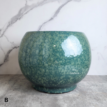 Load image into Gallery viewer, The Leaferie Aurora big Flowerpot. Ceramic material