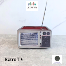 Load image into Gallery viewer, Retro TV Flowerpot