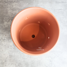 Load image into Gallery viewer, The Leaferie terracotta E Pot with holes. comes in 2 sizes