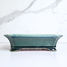 Load image into Gallery viewer, The Leaferie Bonsai Tally Series 7. green rectangular pot.