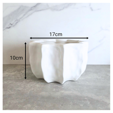 Load image into Gallery viewer, Cress White ceramic planter on a gray surface with 'LEAFAERIE'